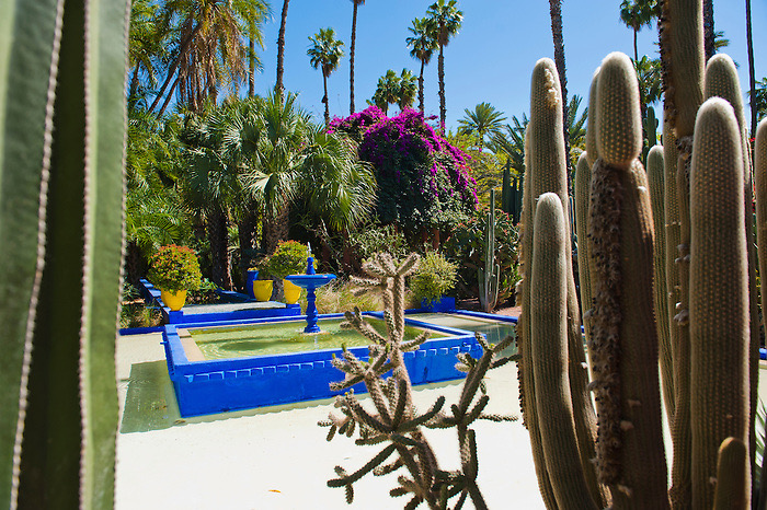 Blue fountain and cactus at Majorelle